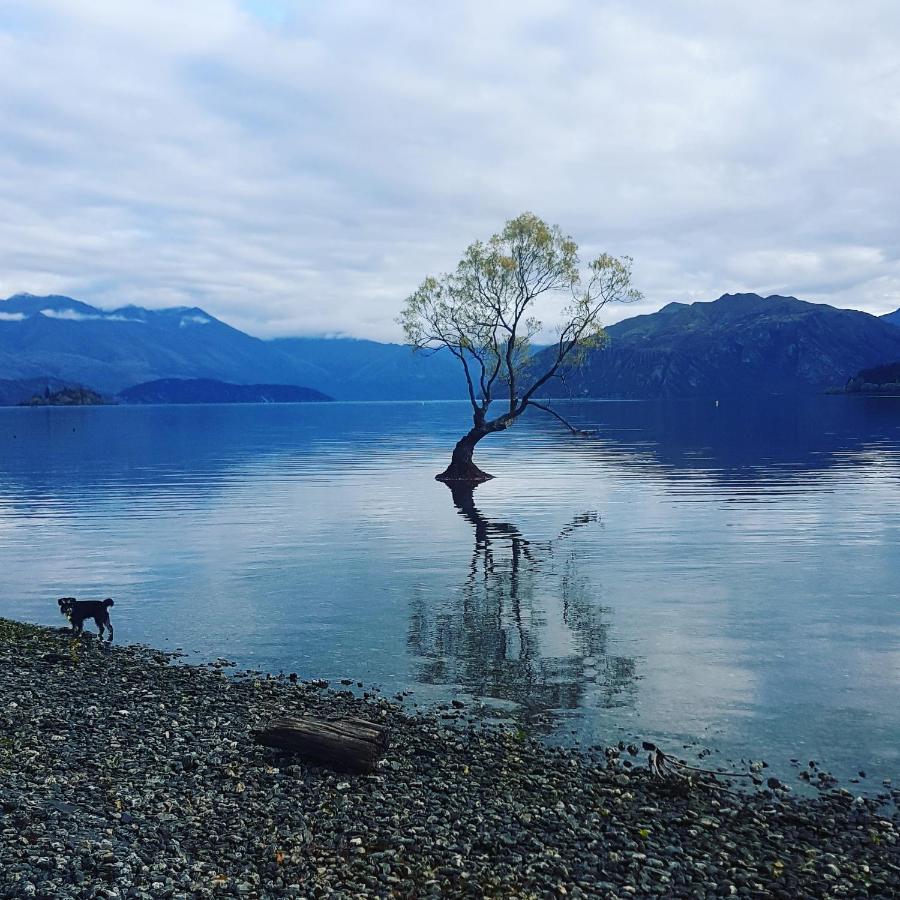 Alto On Hedditch Wanaka Exterior foto